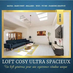 https://loft-cosy-hypercentre-sauna-200m2-wifi.midi-pyreneeshotels.com